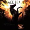 Black Beauty